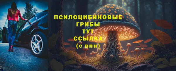 кокс Алексеевка