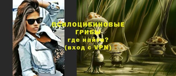 прущая мука Абаза