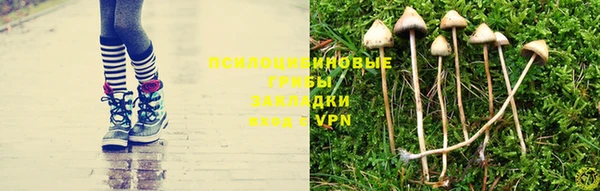кокс Алексеевка