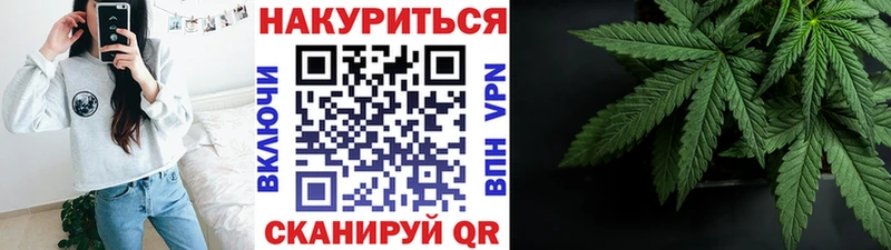 Конопля OG Kush закладки Новотитаровская